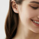 PENDIENTES CIRCONITAS PLATA