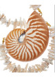 COLLAR CONCHA DEL CARIBE